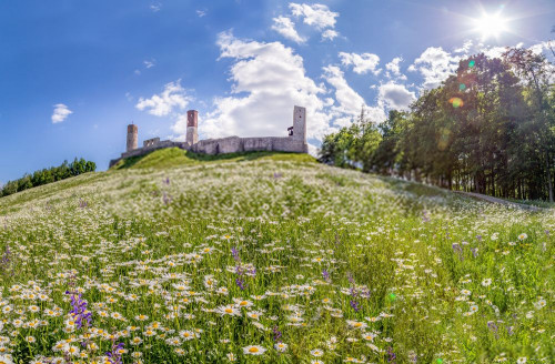 Fototapeta łąka, naturalny krajobraz i Natura