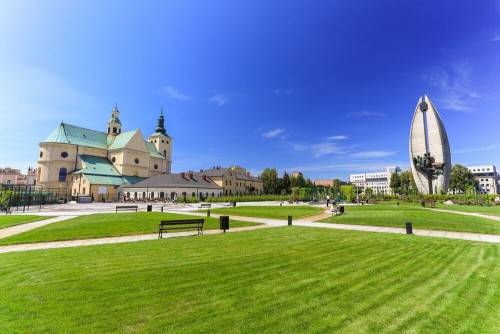 Fototapeta Zielony, trawnik i trawa