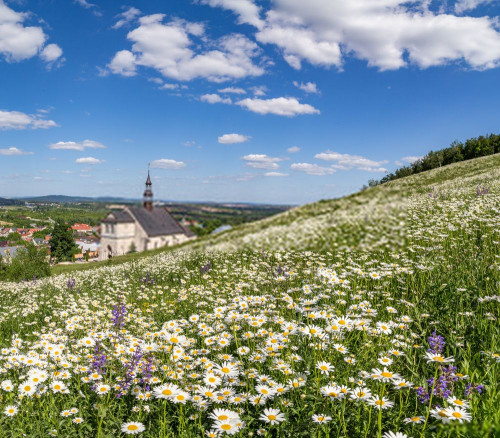 Fototapeta łąka, naturalny krajobraz i niebo