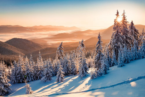 Fototapeta śnieg, Natura i zimowy