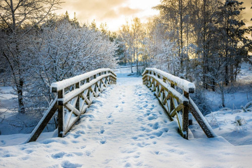 Fototapeta śnieg, zimowy i Natura