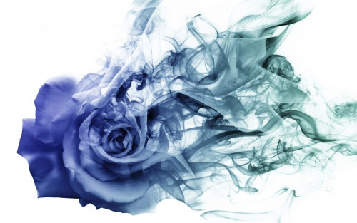 Fototapeta Róża w błękitnej mgiełce