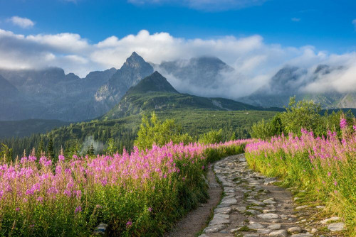 Fototapeta Natura, naturalny krajobraz i górzyste formy terenu