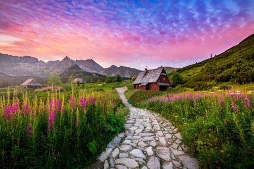 Fototapeta Natura, naturalny krajobraz i niebo