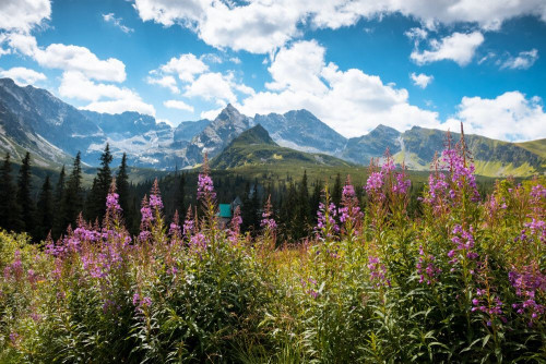 Fototapeta Natura, pustynia i górzyste formy terenu