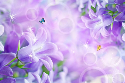 Fototapeta W kolorze liliowym
