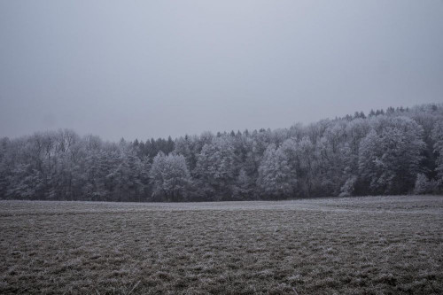 Fototapeta Zjawisko atmosferyczne, niebo i mróz