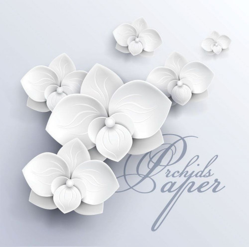 Fototapeta Białe papierowe kwiaty