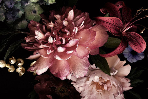 Fototapeta Kwiat, płatek i różowy