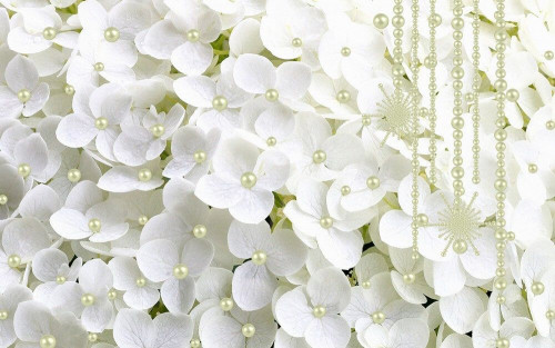 Fototapeta Skromność białych kwiatów