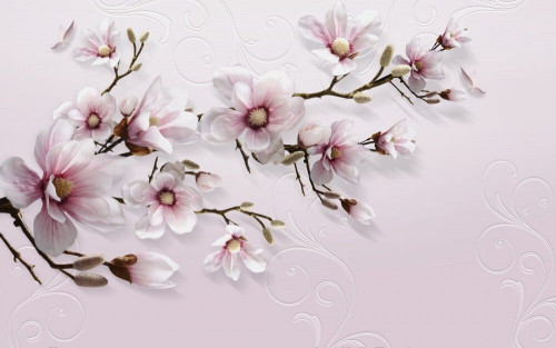 Fototapeta Wiosenna magnolia