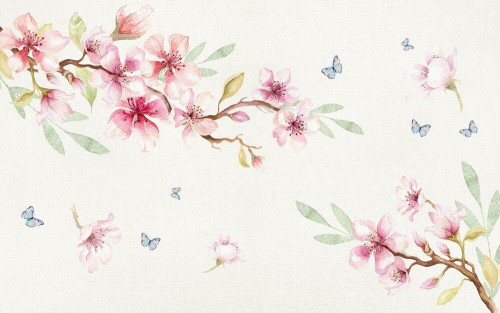 Fototapeta Kwiaty wiśni: sakura