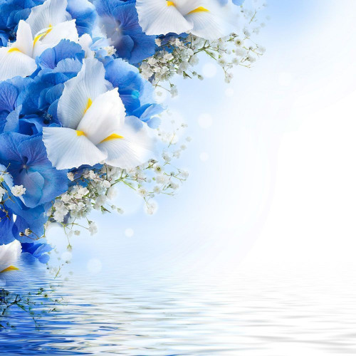 Fototapeta Kwiaty nad wodą