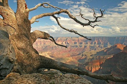 Fototapeta Panorama