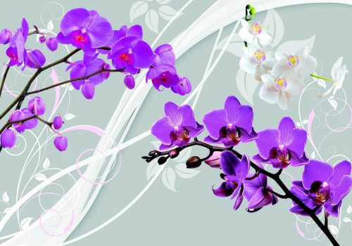 Fototapeta Gałązki fioletowej orchidei