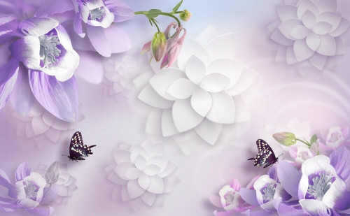 Fototapeta Motyle i filoetowe kwiaty