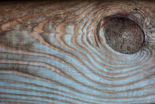 Fototapeta Drewno tamtejsze stare tło wielokolorowy, plamka na drewnianym pokładzie
