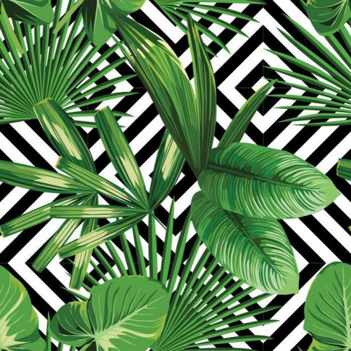 Fototapeta Tropikalnych liści palmowych, geometryczny wzór tła