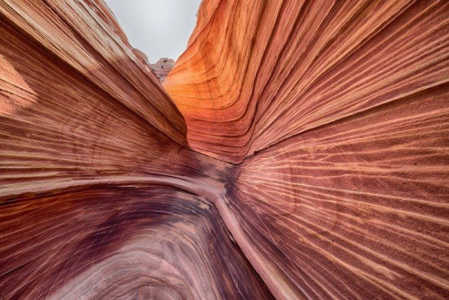 Fototapeta Fala, Coyote Buttes