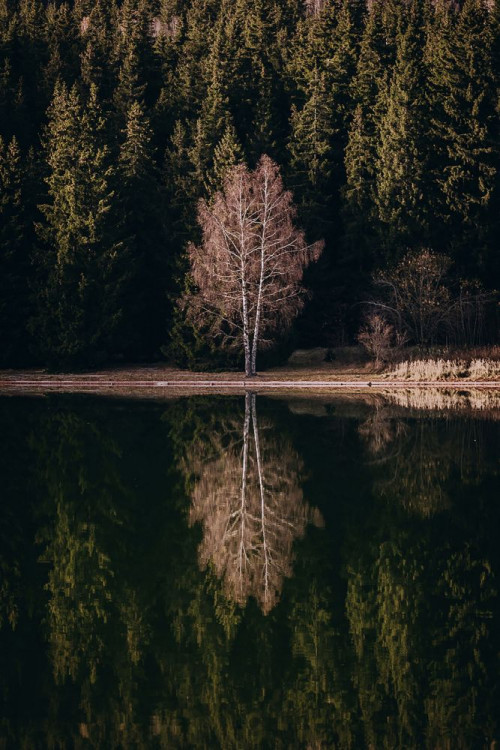 Fototapeta Odbicie, woda i Natura