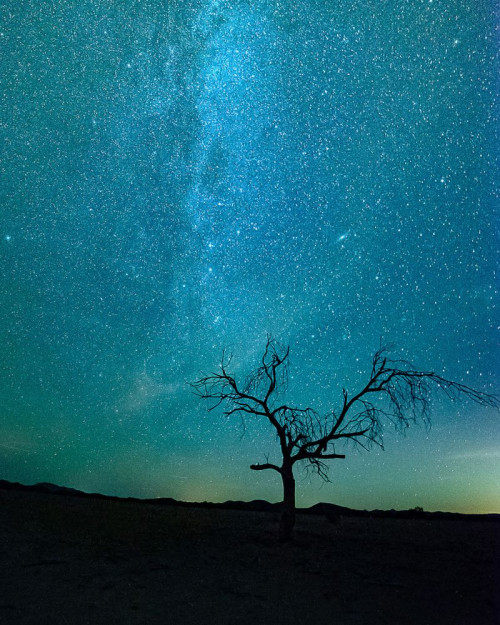 Fototapeta Niebo, Natura i niebieski