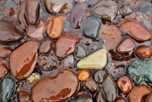 Fototapeta Wet skały na brzegu jeziora Superior, Minnesota North Shore.