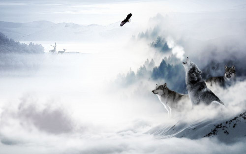 Fototapeta Chmura, atmosfera i niebo