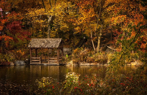 Fototapeta Natura, naturalny krajobraz i liść