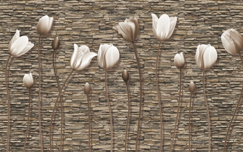Fototapeta Tulipany przy ścianie