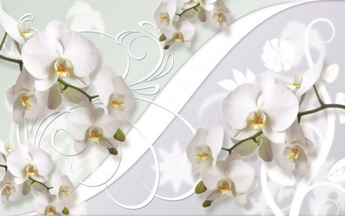 Fototapeta Delikatność białych orchidei 