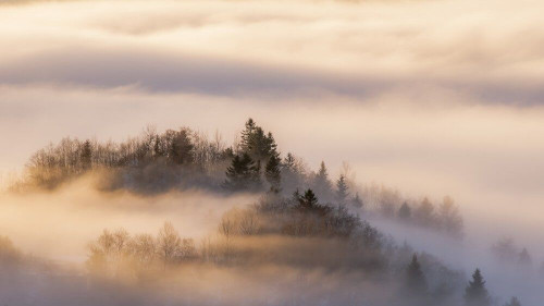 Fototapeta Wszystko we mgle 