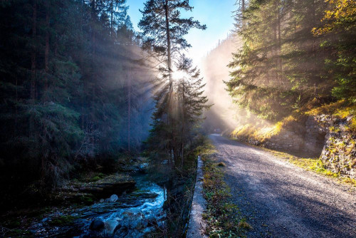 Fototapeta Natura, naturalny krajobraz i drzewo