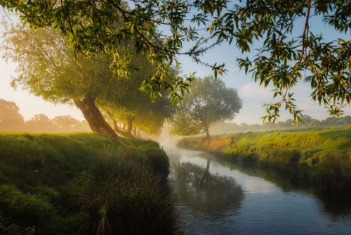 Fototapeta Naturalny krajobraz, Natura i ranek