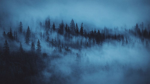 Fototapeta Natura, niebo i zjawisko atmosferyczne