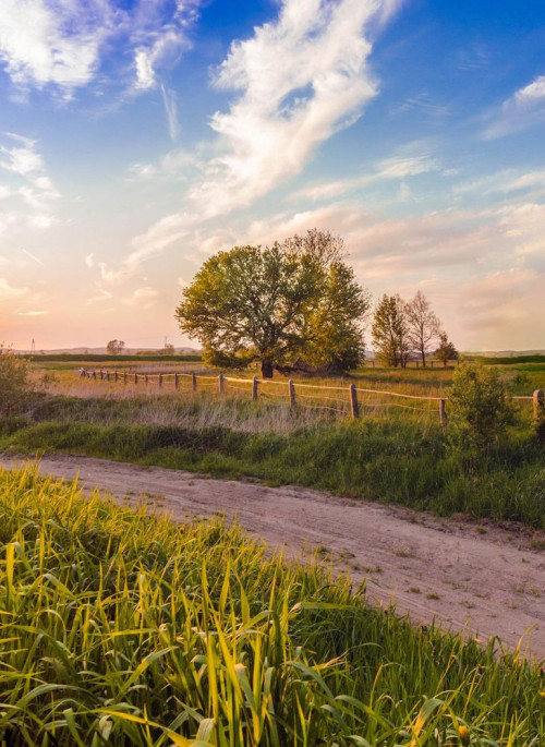 Fototapeta Naturalny krajobraz, niebo i Natura