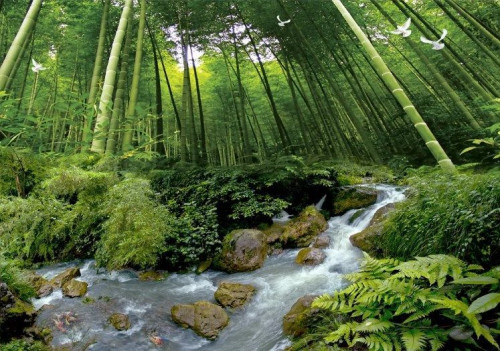 Fototapeta Naturalny krajobraz, rezerwat przyrody i Natura