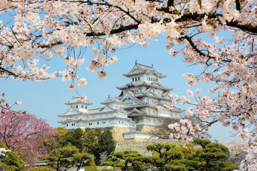 Fototapeta Pagoda i gałązki sakury