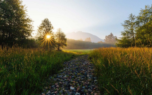 Fototapeta Naturalny krajobraz, Natura i ranek