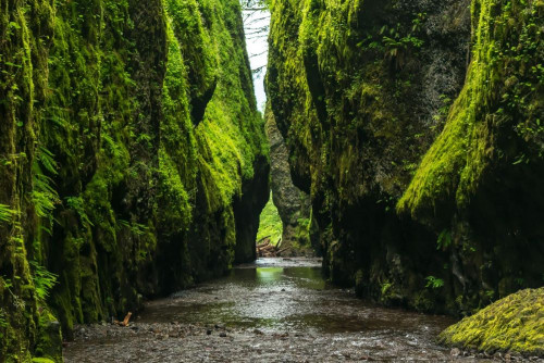 Fototapeta Natura, wegetacja i naturalny krajobraz