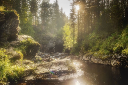 Fototapeta Natura, naturalny krajobraz i woda