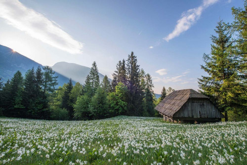 Fototapeta Naturalny krajobraz, Natura i łąka