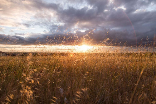 Fototapeta Niebo, Natura i naturalny krajobraz