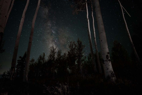 Fototapeta Natura, niebo i czarny