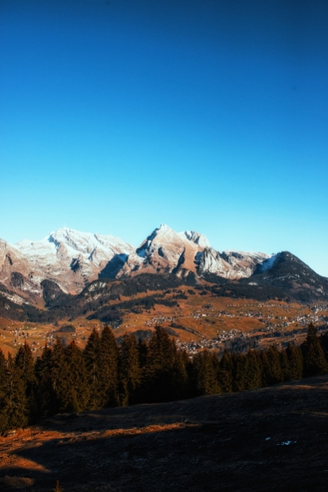 Fototapeta Schweizer berge