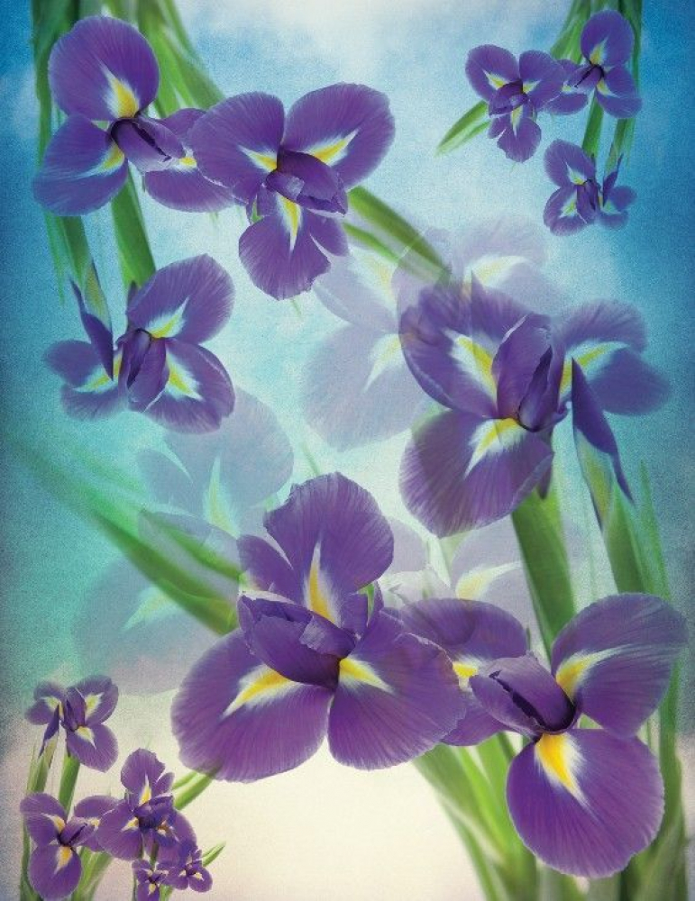 Last Product image