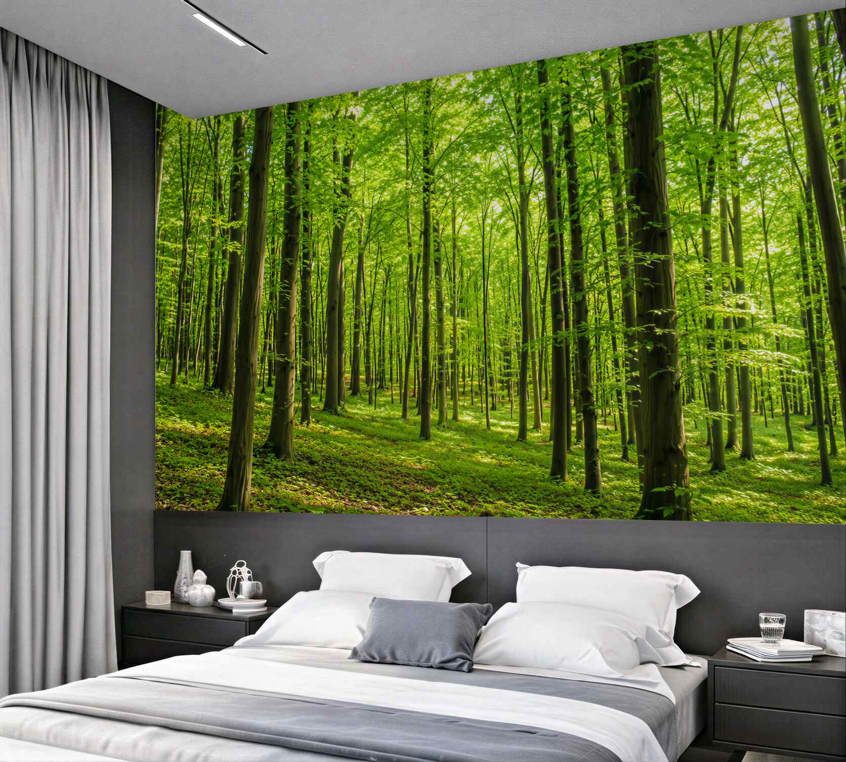 Fototapeta smukły letni las liściasty?v23