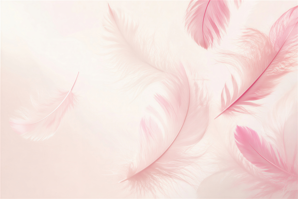 Last Product image