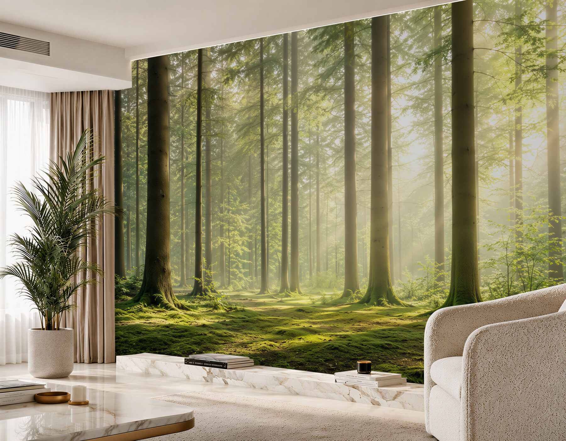 Fototapeta promienie słońca wśród smukłych drzew?v23