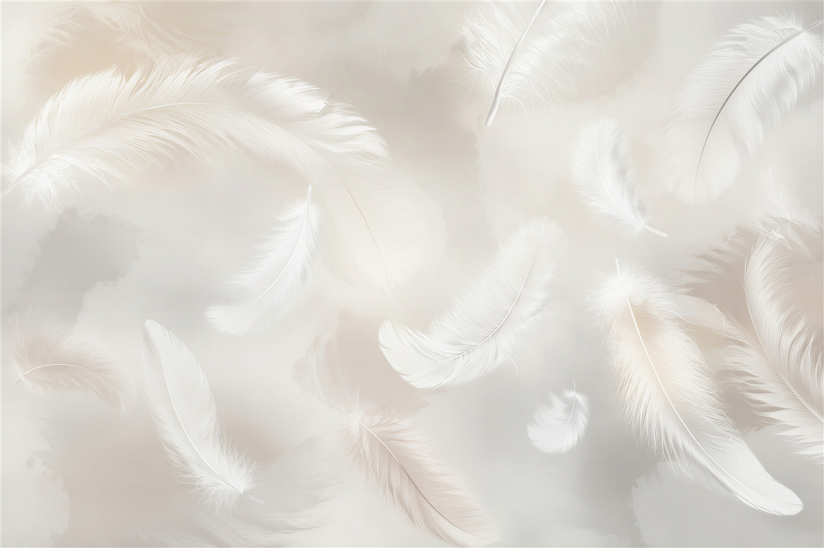 Last Product image