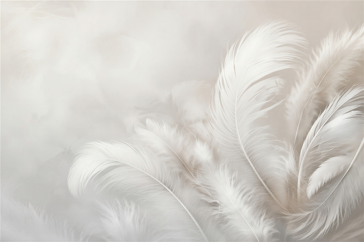 Last Product image
